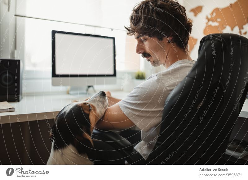 Männlicher Freelancer mit Hund zu Hause freiberuflich heimwärts Mann Arbeit Unternehmer abgelegen ernst Tier beschäftigt männlich professionell lässig sitzen