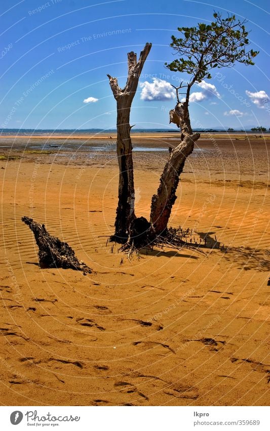 Das Reservat an der Küste Madagaskars Meer Himmel Wolken Baum Blatt Park Felsen blau braun gelb grau grün schwarz Reserve lokobe Land Sandstrand Gezeiten