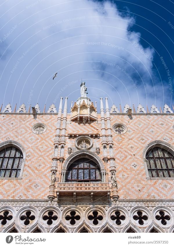 Blick auf historische Gebäude in Venedig, Italien Markusplatz Dogenpalast Palazzo Ducale Urlaub Reise Stadt Architektur Barock Haus alt Bauwerk Sehenswürdigkeit