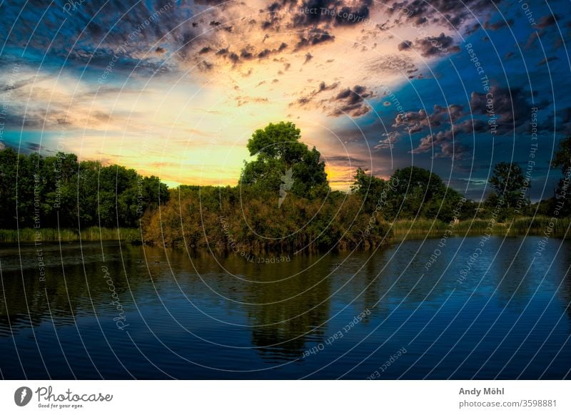 Abendspaziergang am See Wasser Sonnenuntergang Farbe Bäume Reflexion & Spiegelung Wolken Landschaft Farbfoto Menschenleer ruhig Natur Sommer Idylle