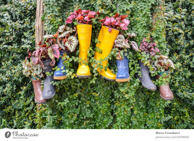 Recycling und Wiederverwendung von Regenstiefeln, Ideen zur Reduzierung von Abfall und Umweltverschmutzung zur Feier des Earth Day Umweltschutz