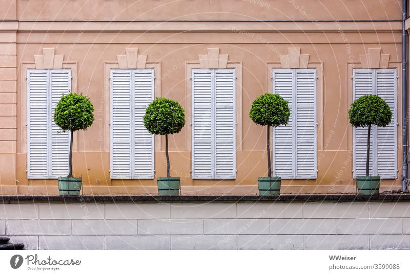 Seitenansicht Schloss Rheinsberg mit dekorativen Bäumchen Schlosspark Lustgarten Kübel Pflanzen Zierbäume Fenster geschlossen Fensterläden minimalistisch Reihe