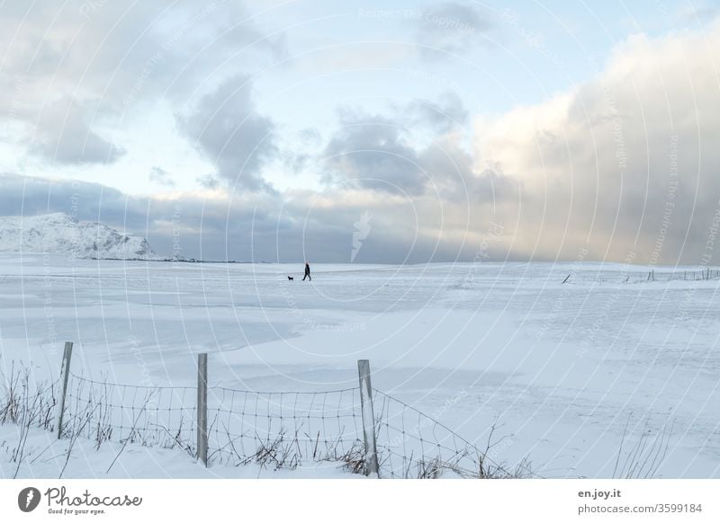 Mann mit Hund geht in Winterlandschaft über Felder mit Schnee spazieren, eingezäunt von einem Zaun Norden Norwegen Skandinavien Lofoten Weite Horizont