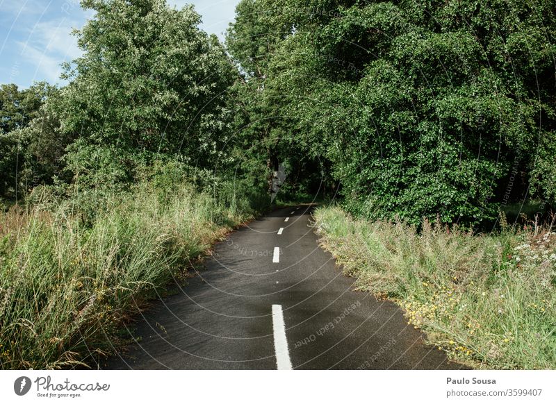 Straße durch den Wald horizontal Farbe Farbfoto Außenaufnahme Natur Tag natürlich Ferien & Urlaub & Reisen Berge u. Gebirge Landschaft Menschenleer Umwelt