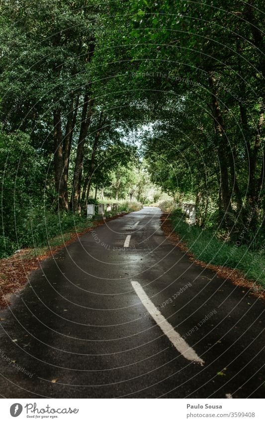 Straße durch den Wald Verkehrswege Außenaufnahme Menschenleer Asphalt Wege & Pfade Straßenbelag Verkehrsschild Tag Linie Farbfoto Straßenverkehr Straßenkreuzung