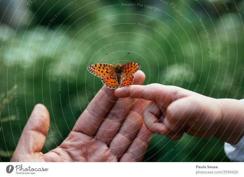 Nahaufnahme der Hände mit Schmetterling Vater Vater mit Kind Familie & Verwandtschaft natürlich Natur Hand Kindheit Mensch Erwachsene Mädchen Kleinkind Liebe