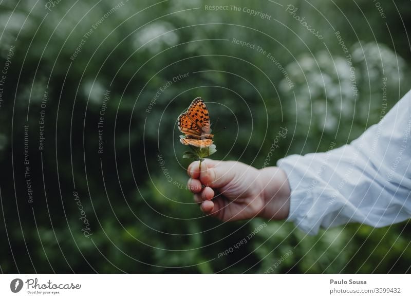 Kinderhand hält Schmetterling Hand Schmetterlinge Insekt Natur Umwelt Umweltschutz Tier Außenaufnahme Nahaufnahme Farbfoto Tag grün weiß schön mehrfarbig