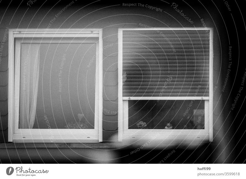 trübe Aussichten - Dachfenster schlechtes Wetter Urbanisierung grau Depression depressiv Tristesse trostlos Einsamkeit trist Winter kalt Umwelt Gedeckte Farben