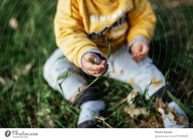 Kleinkind sitzt auf Gras Baby Kind Kindheit Neugier unschuldig entdecken Farbfoto Mensch Außenaufnahme 0-12 Monate Fröhlichkeit Natur 1-3 Jahre Freude Leben