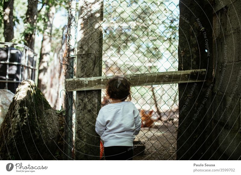 Kinder beobachten Hühner Federvieh Geflügelfarm Neugier Rückansicht Vogel Tier Farbfoto Nutztier Außenaufnahme Hahn Tag Bauernhof Blick Lifestyle Leben Natur