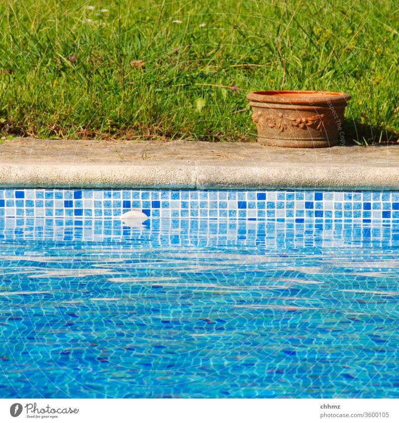 Topf am Pool Schwimmbad swimming pool Wasser Becken Keramik Gras Wiese Rand Übergang Beckenrand Schwimmen & Baden nass Blumentopf Fliesen u. Kacheln blau grün