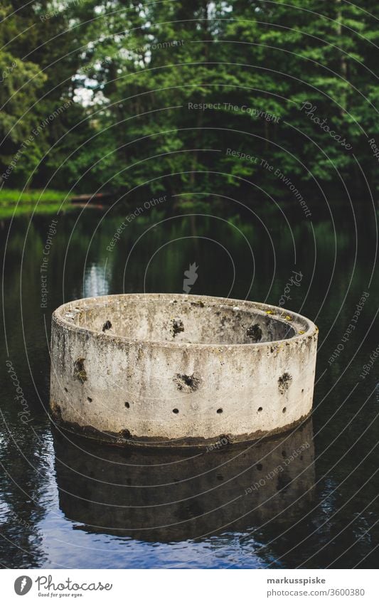 Betonring Kanal im Weiher betonring Kanalbau Fischweiher Teich Teichwirtschaft Fische Karpfenzucht Forelle