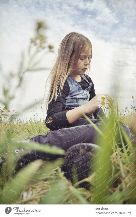 mädchen sitzt in einer blumenwiese und macht eine kette aus blumen (was man nur undeutlich sieht) Kindheit besonnen nachdenklich Blume Gras Blumenwiese Wiese