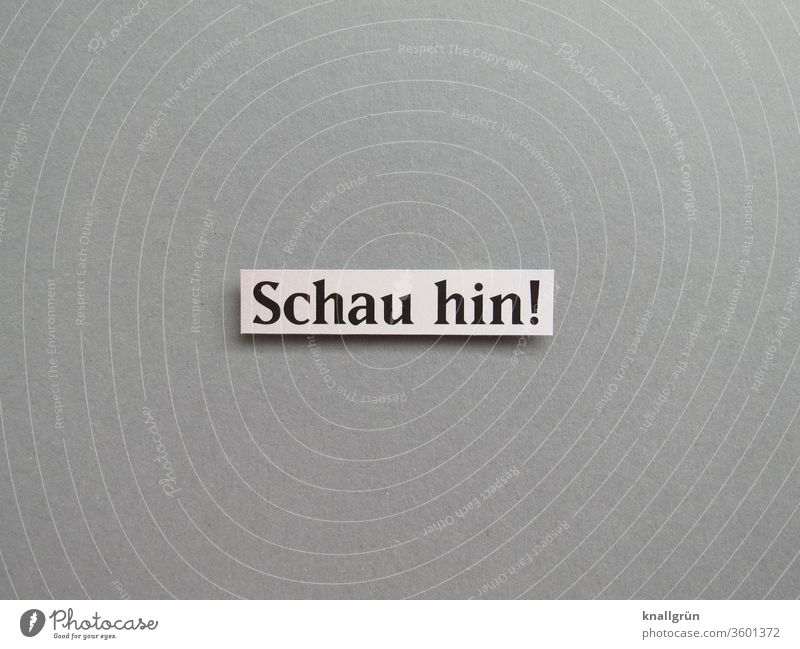 Schau hin! Wachsamkeit Aufmerksamkeit wahrnehmen schauen sehen Initiative beobachten Blick Neugier Farbfoto grau schwarz weiß Buchstaben Wort Satz Letter