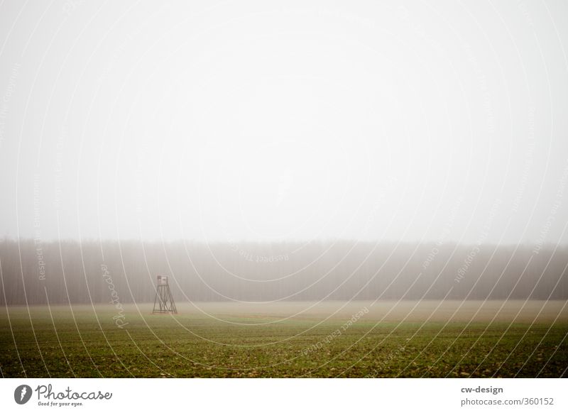 Schiedwedder op de Lande Umwelt Natur Landschaft Pflanze Himmel Wolken Gewitterwolken schlechtes Wetter Nebel Feld Wald trist grau Hochsitz Farbfoto