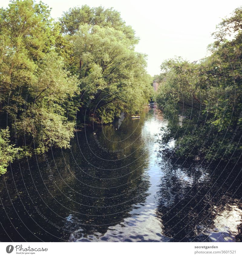 Stille Wasser sind tief und unergründlich, sagt man... Fleet Kanal Fluss Hamburg Reflexion & Spiegelung Sommer nass Bäume Uferlinie blau Urwald dicht bewachsen