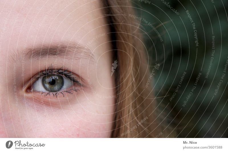 guckst du Blick in die Kamera Porträt Augenbraue natürlich Frau feminin Gesicht Kopf selbstbewußt Warmherzigkeit Gesichtsausdruck schön Gesichtsausschnitt sehen