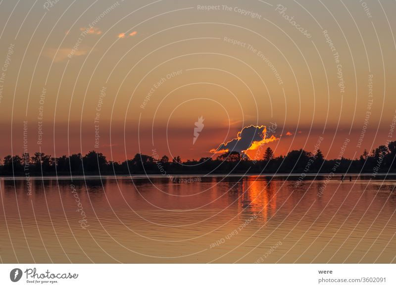 Stehender Paddler auf dem See bei Sonnenuntergang Erholung Ruderboot Textfreiraum Spaß Feiertage Seeufer Landschaft Natur niemand Rudern malerisch Sport