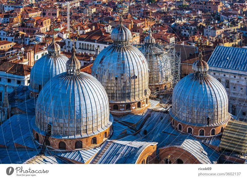 Historische Gebäude in der Altstadt von Venedig in Italien Kirche Markusdom Basilica di San Marco Urlaub Reise Stadt Architektur Fassade Kuppel Turm Basilika