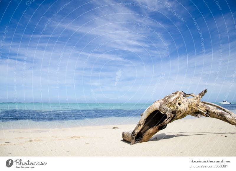 strand- GUT Sinnesorgane Erholung ruhig Meditation Ferien & Urlaub & Reisen Tourismus Ausflug Abenteuer Ferne Kreuzfahrt Sommer Sommerurlaub Strand Meer Insel