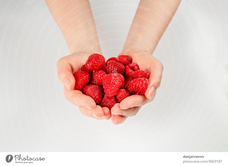 Himbeerfrüchte auf weißem Hintergrund Himbeeren Frucht Beeren Lebensmittel rot vereinzelt frisch reif Gesundheit süß saftig Dessert Diät lecker Früchte Frische