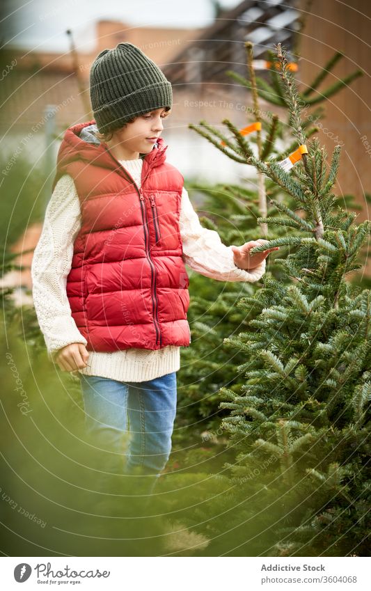 Schöner blonder Junge mit grüner Wollmütze, roter Weste, weißem Pullover, blauer Hose und gelben Stiefeln wählt seinen Weihnachtsbaum frisch Nahaufnahme Jungen