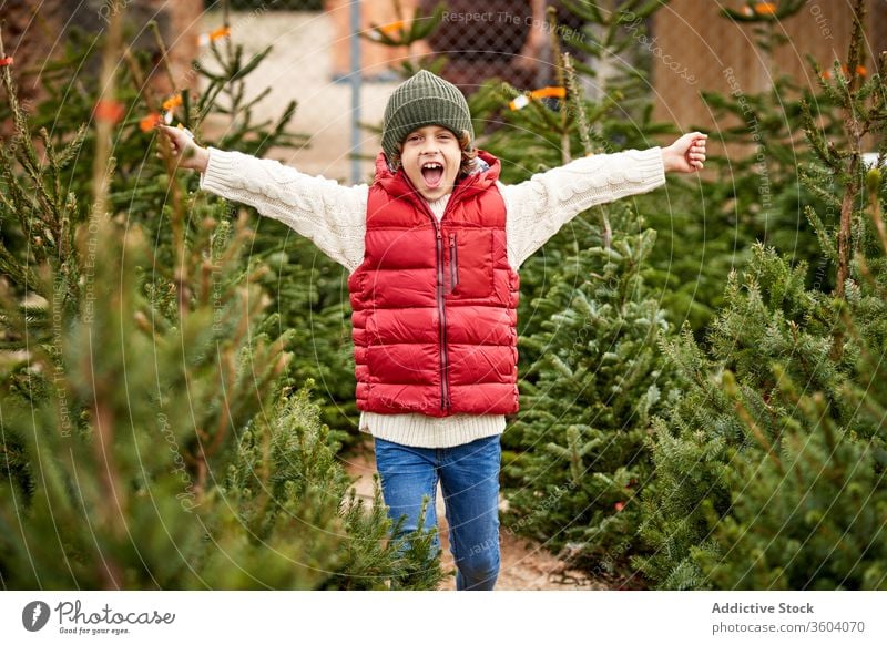 Schöner blonder Junge mit grüner Wollmütze, roter Weste, weißem Pullover, blauer Hose und gelben Stiefeln wählt seinen Weihnachtsbaum frisch Nahaufnahme Jungen