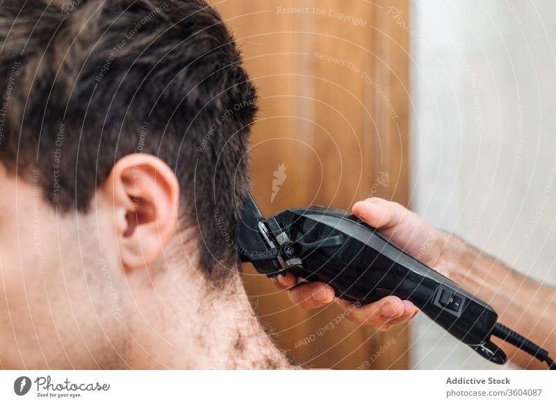 Pflanzenfriseur beim Haareschneiden für Männer Trimmer Haarschnitt Bad geschnitten entgittern Friseur Pflege Zusammensein Zeitgenosse modern Werkzeug Hygiene