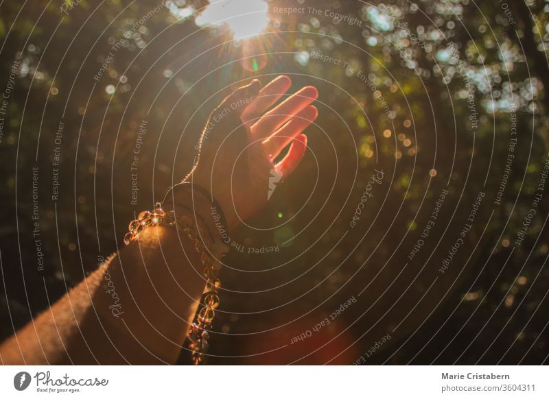 Die Hände strecken sich nach dem Licht aus, das aus dem Wald kommt, um das Konzept der Unterstützung der psychischen Gesundheit, der Heilung in der Natur und der Fitness während der Covid-19-Pandemie zu zeigen