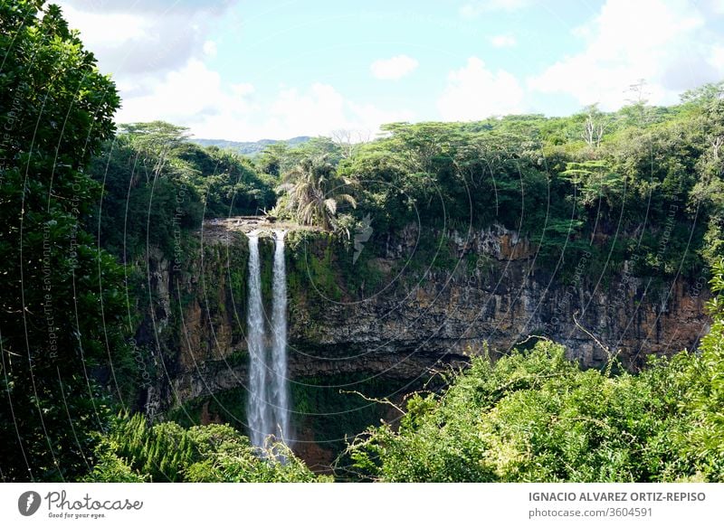 Wasserfall inmitten des tropischen Dschungels Natur Fluss Landschaft strömen grün fließend Park Gras Tourismus Wald Stein reisen fallen Schönheit Kaskade