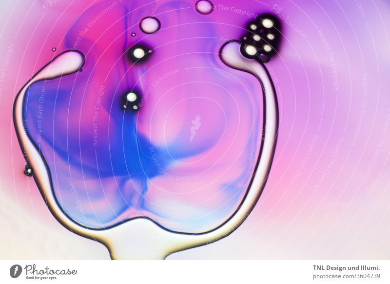 Mit dem Lichtmotivprojektor erzeugte visuelle Inhalte: Organische Formen und natürliche Prozesse führen zu ästhetischen Schnittstellenreaktionen. Kunst