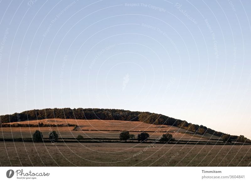 Blick auf Landschaft und Abendhimmel im Burgund Hügel Bäume Wald Himmel Weide Gras trocken Vieh Grenzen Wärme Abendsonne Natur Wiese ländlich