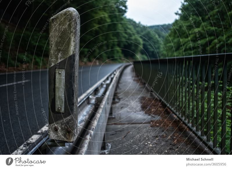 Leitpfosten und schmaler Weg an einer Landstraße Begrenzungspfahl Straßenbegrenzungspfeiler Leitpflock Außenaufnahme Farbfoto Menschenleer Asphalt Straßenrand