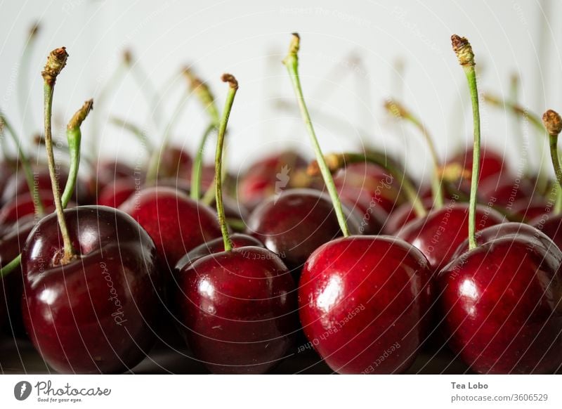 Marsch der Kirschen Beeren organisch Ernte Frucht frisch Garten lecker Ackerbau Lebensmittel rot Gesundheit Sommer Vitamin Bauernhof Kommissionierung reif