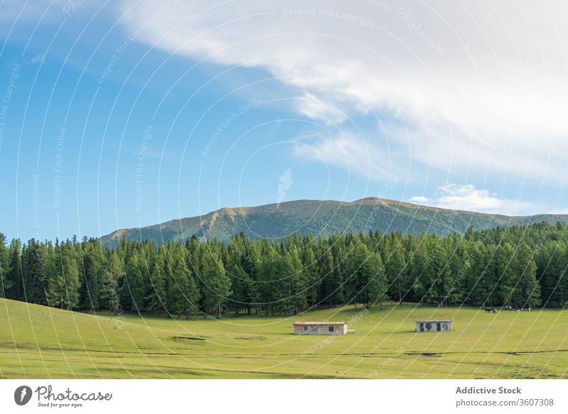 Malerisches Tal mit Bergen und Bäumen Berge u. Gebirge Wald Immergrün spektakulär Landschaft malerisch Kamm Hochland Wälder Natur balikun China Blauer Himmel