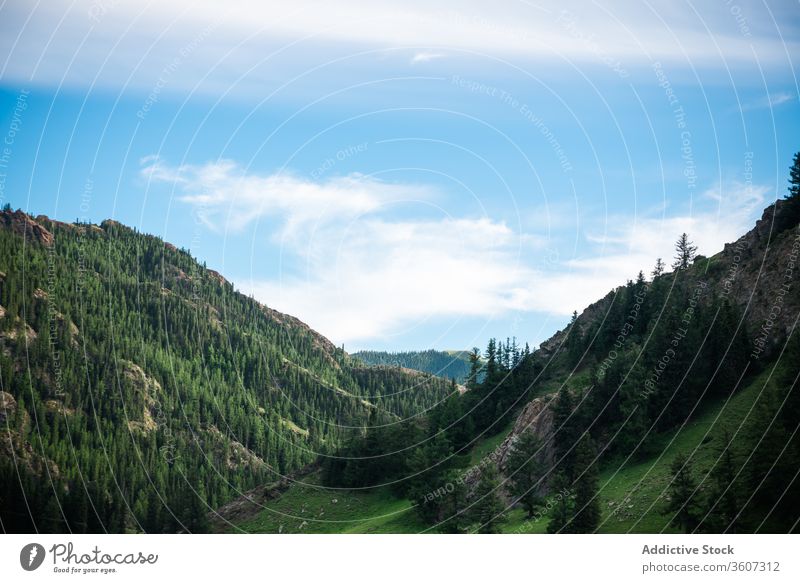 Malerisches Tal mit Bergen und Bäumen Berge u. Gebirge Wald Immergrün spektakulär Landschaft malerisch Kamm Hochland Wälder Natur balikun China Blauer Himmel