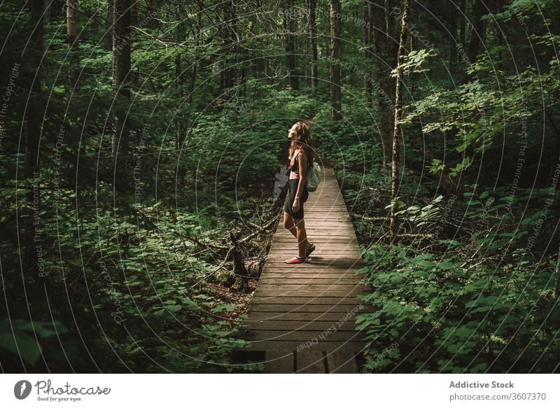 Weibliche Reisende auf Holzpfad im Wald Frau Weg reisen erkunden Freude Wetter la mauricie Nationalpark Quebec Kanada Rucksack grün Natur Baum Abenteuer