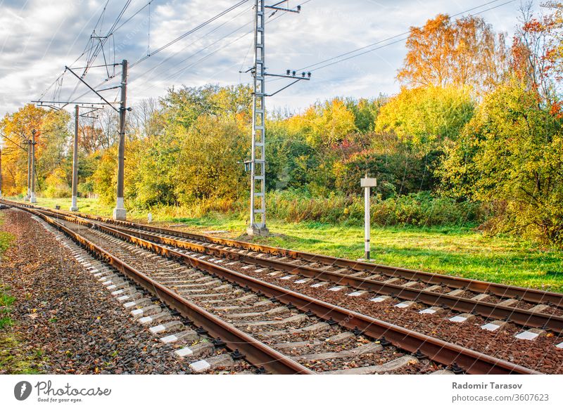 Eisenbahn im Herbstwald Natur Wald fallen Schiene Laubwerk Landschaft gelb Baum Saison Blätter Ständer natürlich orange Sonnenlicht schön im Freien Bäume grün