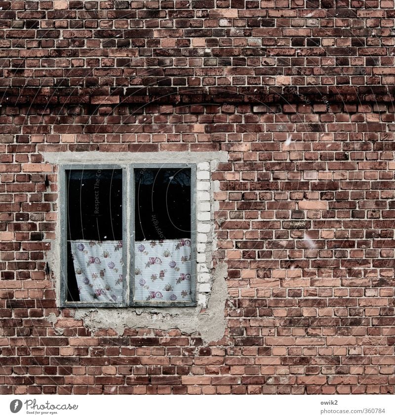 Fenster zum Hof Mauer Wand Fassade alt trist Design rein Verfall Vergangenheit Vergänglichkeit Leerstand Gardine Zahn der Zeit verfallen unvollendet desolat