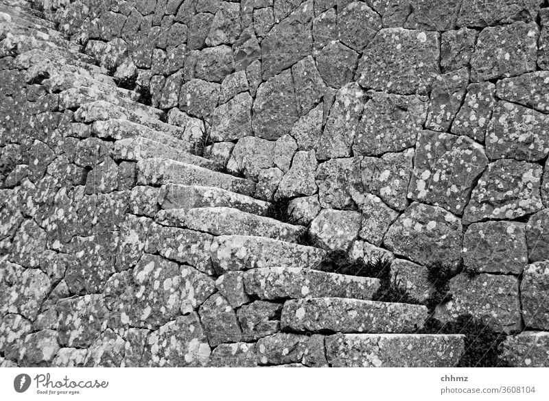 Steintreppe Treppe aussentreppe stufen historisch alt bemoost mauerwerk Menschenleer aufwärts Wand abwärts Architektur Außenaufnahme Mauer steil grau Bauwerk