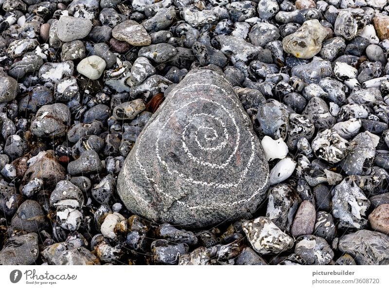 Steine am Strand Spirale Menschenleer Natur Nahaufnahme Tag grau weiß Farbfoto Kieselsteine zentral Küste Felsen Landschaft ruhig Außenaufnahme