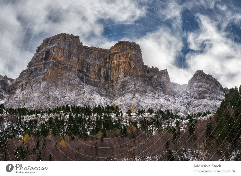 Wald und schneebedeckte Berge vor bedecktem Himmel Berge u. Gebirge Tal Schnee Kamm Unwetter Wetter orange Natur Ambitus Landschaft kalt Felsen malerisch Saison