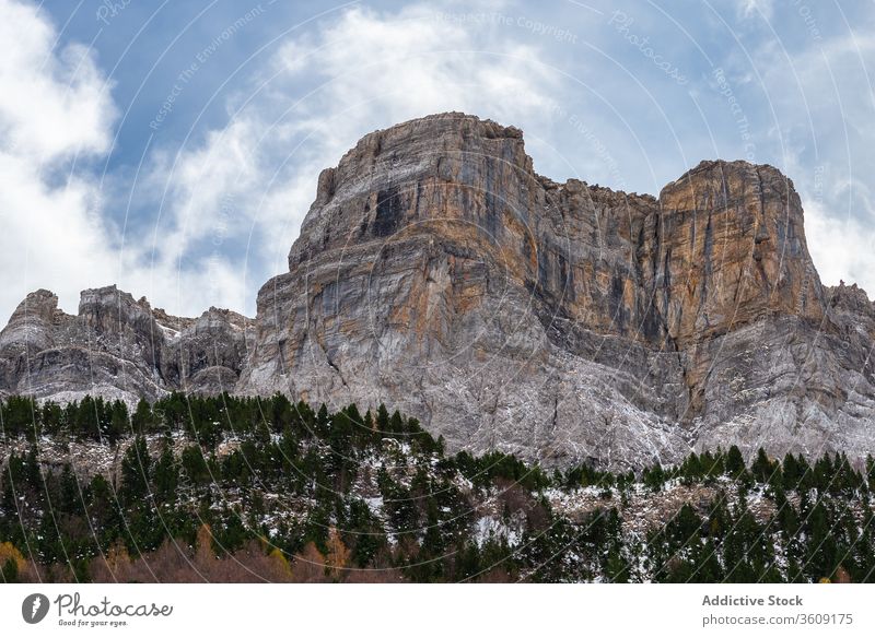 Wald und schneebedeckte Berge vor bedecktem Himmel Berge u. Gebirge Tal Schnee Kamm Unwetter Wetter orange Natur Ambitus Landschaft kalt Felsen malerisch Saison