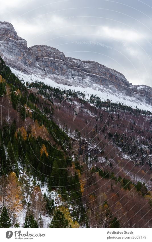 Wald und schneebedeckte Berge vor bedecktem Himmel Berge u. Gebirge Tal Schnee Kamm Unwetter Wetter orange Natur Ambitus Landschaft kalt Felsen malerisch Saison