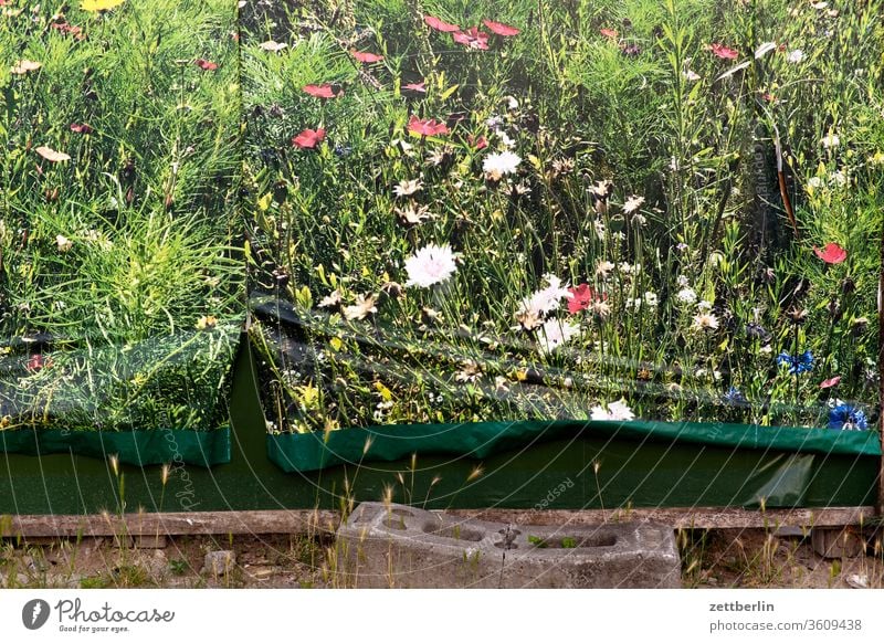 Plakat für Natur natur wiese landschaft poster plakat zitat plakatwand falte riss schaden beschädigung urban umwelt umweltschutz blume blühen bild-im-bild