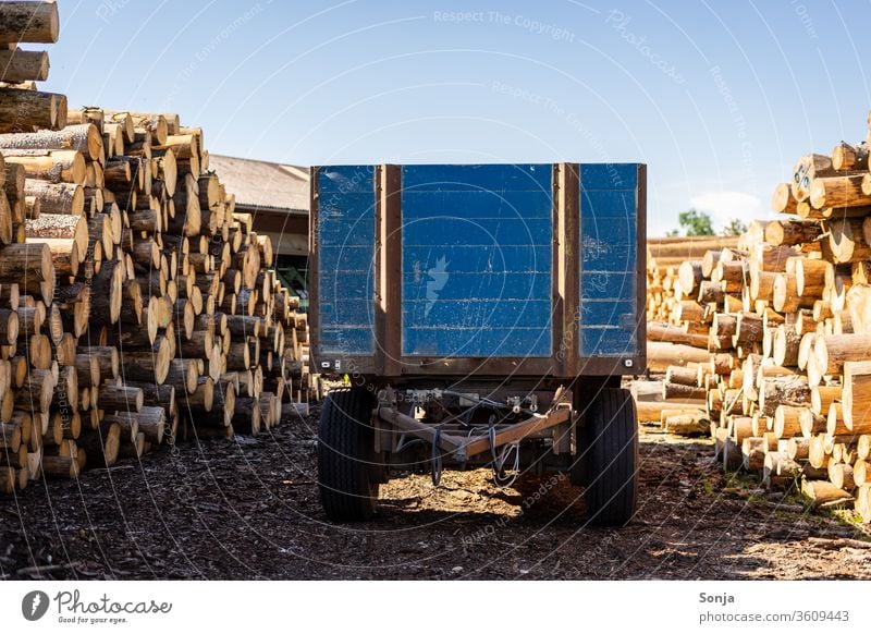 Ein blauer Anhänger zwischen zwei Holzstößen, Holzverarbeitung, Transport holzstämme Himmel Landschaft Schönes Wetter transport Farbfoto Umwelt Fahrzeug