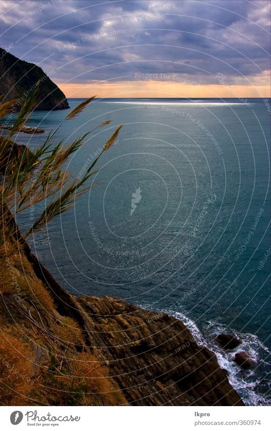 die via dell'amore im norden italiens, liguria Meer Berge u. Gebirge Haus Klettern Bergsteigen Natur Himmel Wolken Blatt Hügel Felsen Küste Dorf Hafen Terrasse