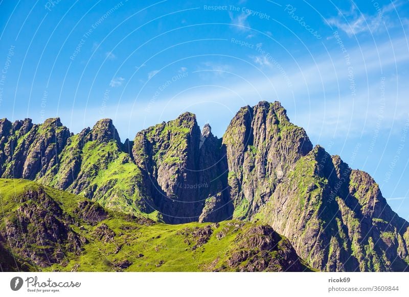 Berge auf den Lofoten in Norwegen Nordland Vestvagoy Urlaub Reiseziel Landschaft Natur Gebirge Felsen Wiese Gras Wolken Himmel blau grün Sommer Jahreszeit