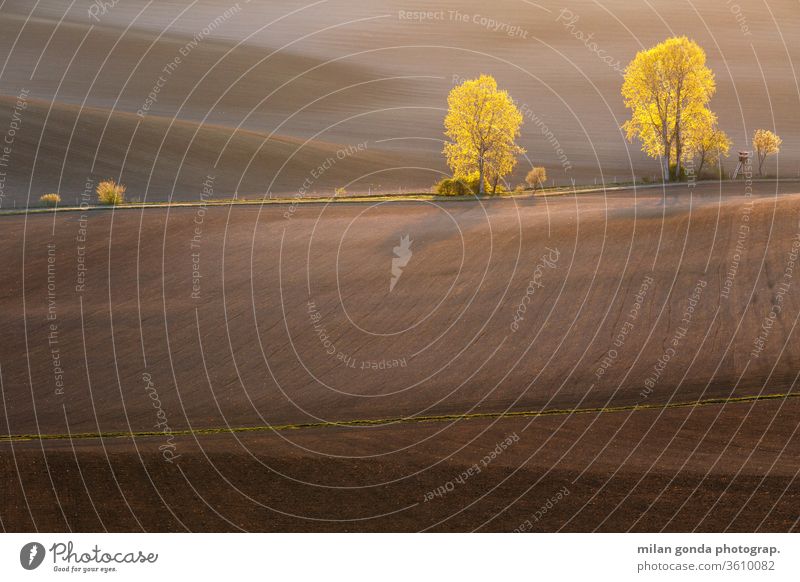 Ländliche Landschaft der Region Turiec in der Nordslowakei. Slowakische Republik ländlich Bereiche Frühling Ackerbau Hügellandschaft Morgen Baum