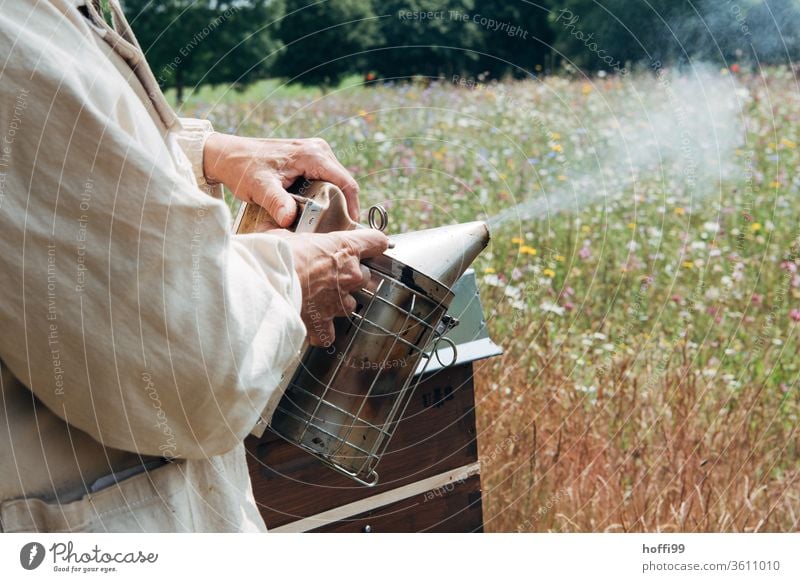 Imker bereitet einen Smoker vor Imkerei imkern Honig Honigproduktion ökologischer landbau Honigbiene Lebensmittel Gesundheit Sommer Bienenkorb Bienenstock Natur